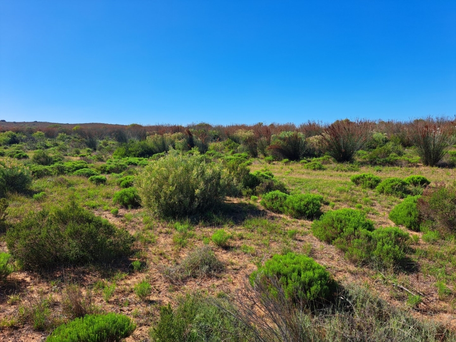  Bedroom Property for Sale in Riversdale Rural Western Cape